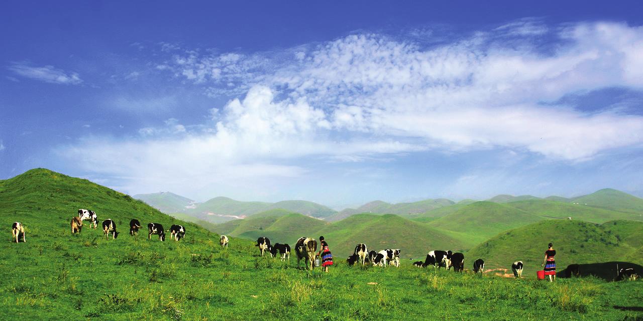 一步之城，萬(wàn)種風(fēng)情 ——《城步苗族自治縣旅游產(chǎn)業(yè)發(fā)展總體規(guī)劃及重點(diǎn)景區(qū)概念性規(guī)劃》